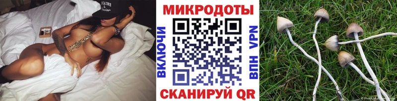 наркотики  Смоленск  Псилоцибиновые грибы Magic Shrooms 